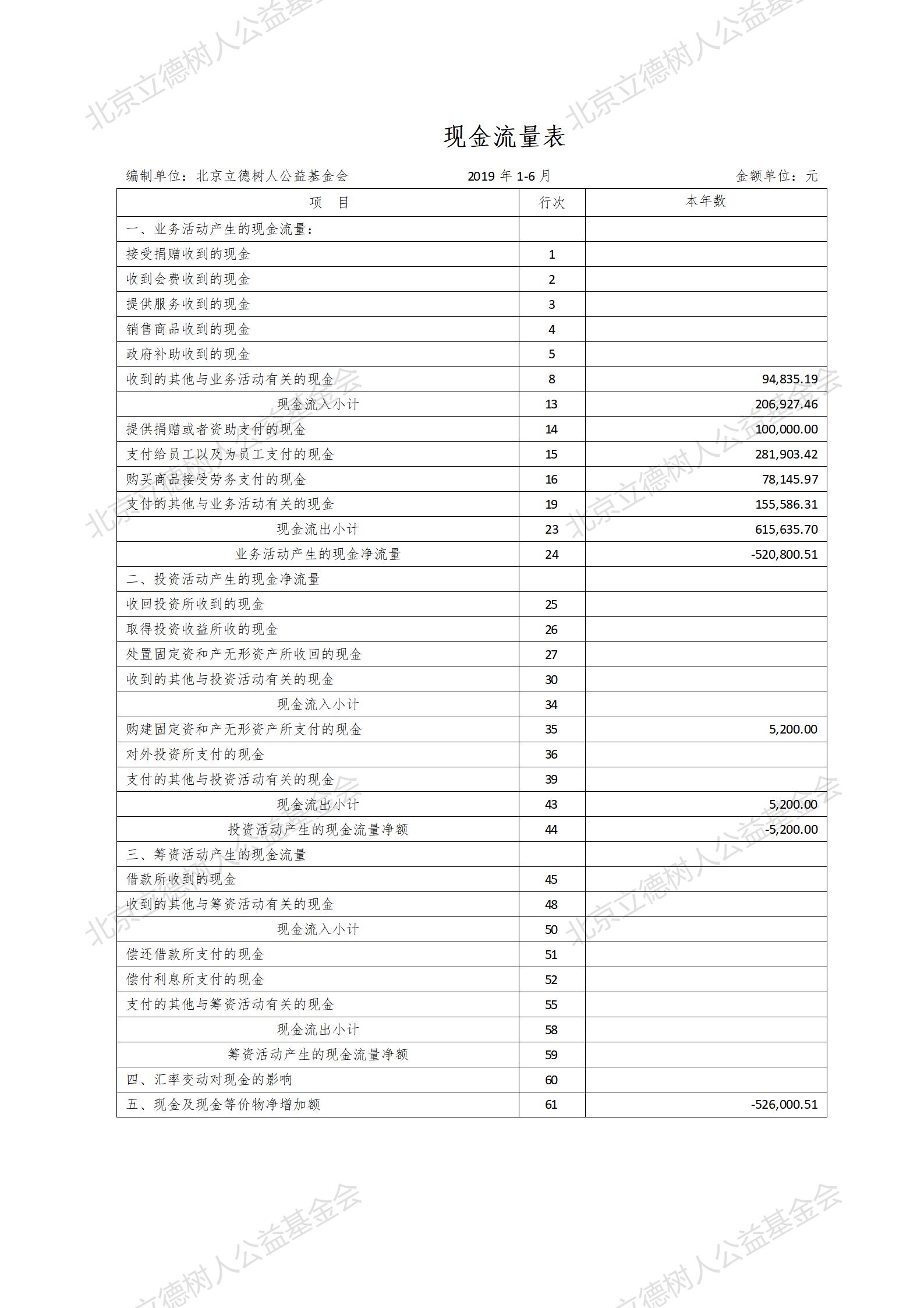 北京立德树人公益基金会2019年1-6月财务报告_04.jpg