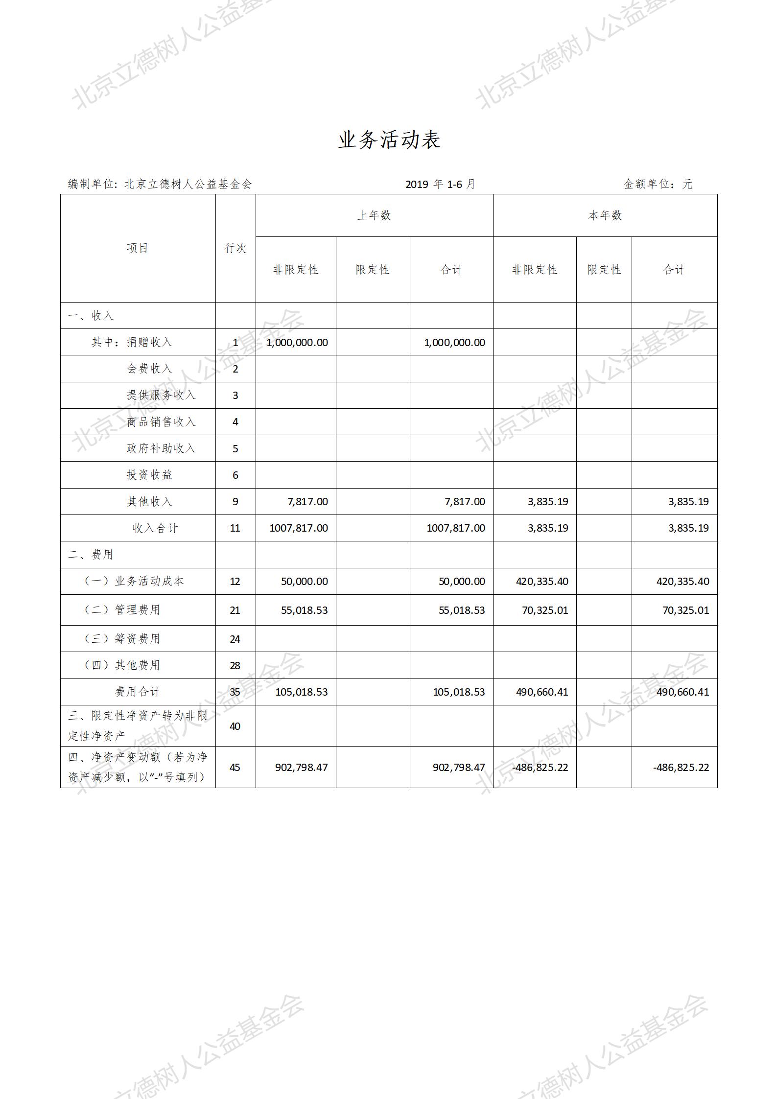 北京立德树人公益基金会2019年1-6月财务报告_03.jpg