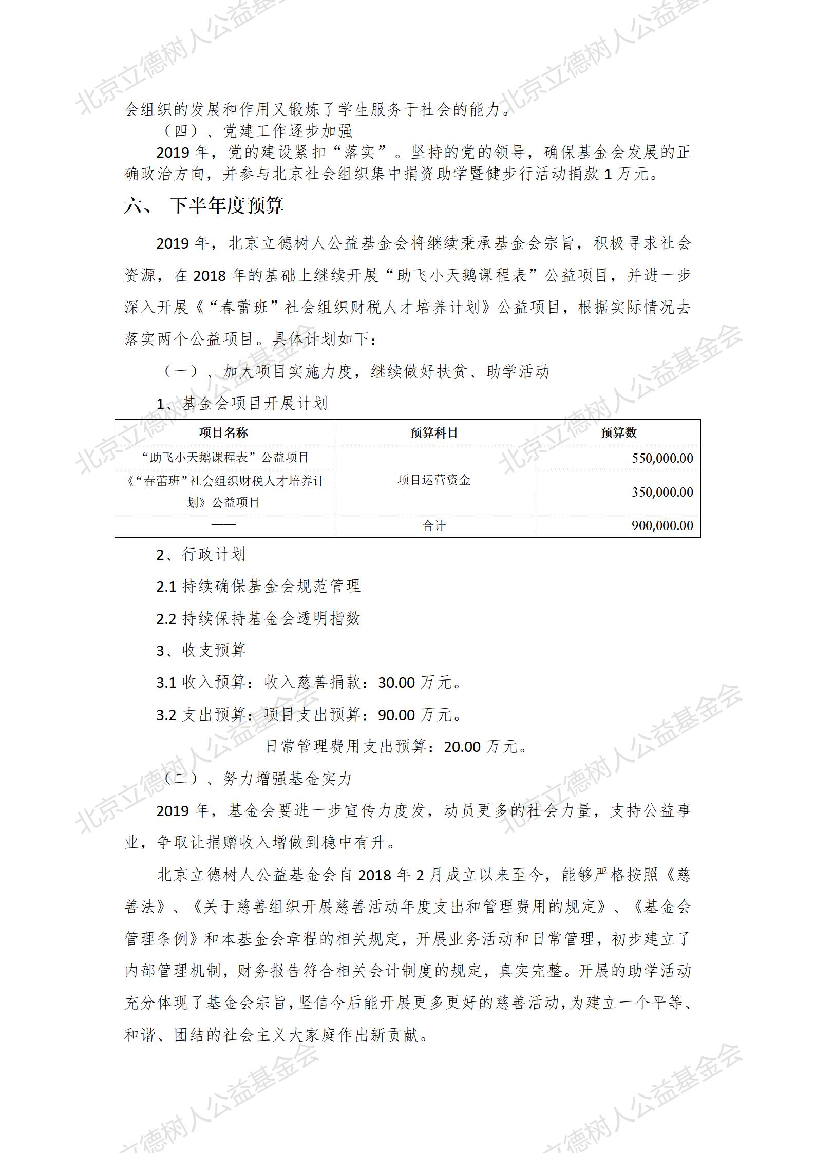 北京立德树人公益基金会2019年1-6月财务报告_09.jpg