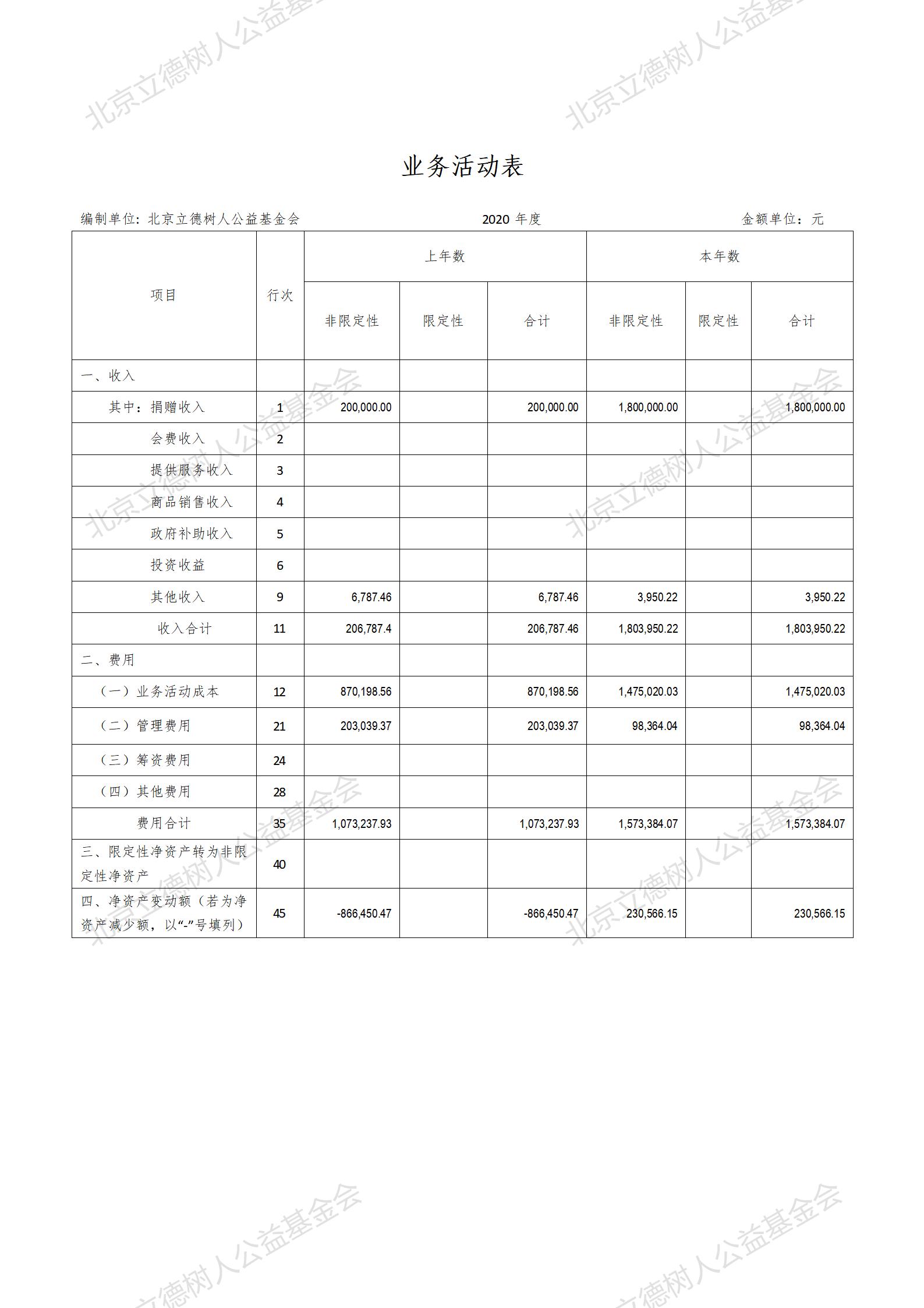 北京立德树人公益基金会2020年度财务报告_03.jpg